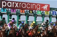 parx entries|parx entries and results.